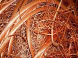 High Quality ccheap Used Copper Wire and Cable Scrap for Sale Purity 99.9%, 99 - photo 1
