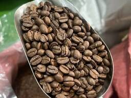 Arabica Coffee Beans for Sale