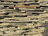 Arenaria naturale - фото 2