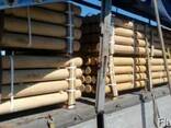 Barra rotonda in acacia (robinia) - photo 2