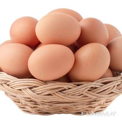 Bulk Fresh Table Eggs - Fresh Chicken Table Eggs/ Fresh Chicken Hatching Eggs for sale