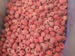 Collaborazione per la fornitura di frutti di bosco surgelati dalla Bielorussia 2025 - photo 5