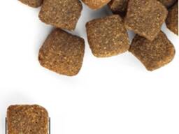 Dog Food Directly from the Manufacturer! Fresh and high-quality Ukraine