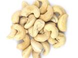 Dried Cashew Nuts Cashew Nuts W320 W240 Export Cashew Nuts - photo 3