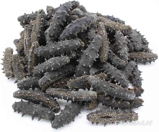 Dried Sea Cucumber