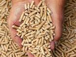 Wood Pellets EN Plus-A1 6mm/8mm Fir pellets, Pine pellets, Beech wood pellets in 15kg - photo 3
