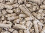 ENplus pellet di legno di pino - фото 2