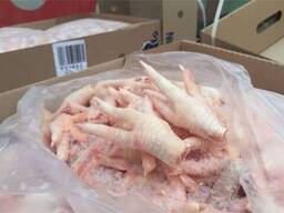 Europe Grade Brazil frozen chicken feet Brazil frozen chicken feet suppliers buy frozen ch