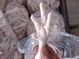 Europe Grade Brazil frozen chicken feet Brazil frozen chicken feet suppliers buy frozen ch - фото 3