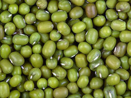 Fagioli neri/fagioli verdi/fagioli rossi ecc.