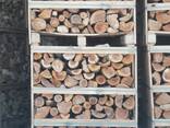 Firewood in boxes
