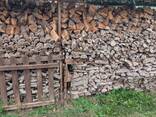 FIREWOOD, READY TO BURN! - photo 7