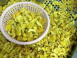 Frutta liofilizzata all'ingrosso - photo 5