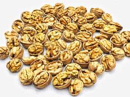 Gherigli di noce ucraini (Light, Amber) e noci in guscio, raccolto 2026