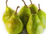Green A Grade Fresh Pear - фото 1
