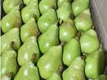 Green A Grade Fresh Pear - фото 3
