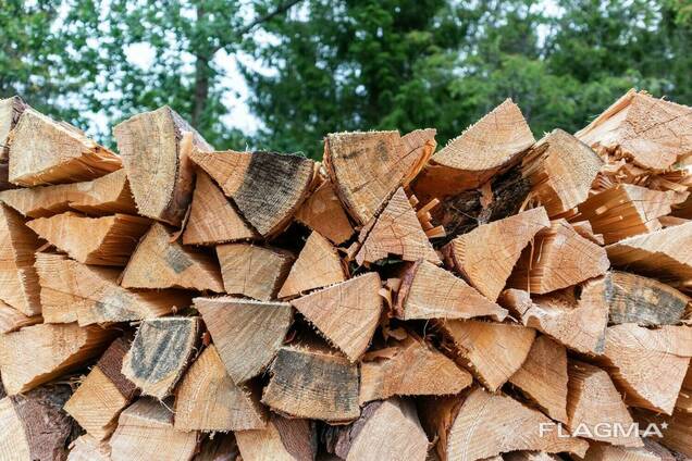 Grandi tronchi di quercia a secco di legna per camino Foto stock