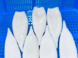 Мороженные морепродукты и рыба в Италию от завода из Китая