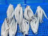 Мороженные морепродукты и рыба в Италию от завода из Китая - фото 3