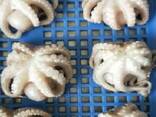 Мороженные морепродукты и рыба в Италию от завода из Китая - фото 6