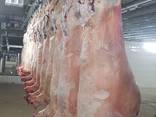 Мясо говядины боранина - фото 6