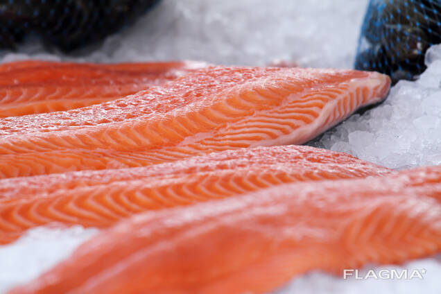 Offerta di pesce dalla Norvegia