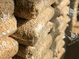 Pellet di legno - photo 3