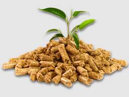Pellet di pino, a prezzi accessibili