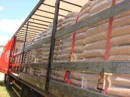 Pellet premium ENplus A1 da Novarex Group