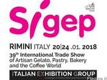 Переводчики на выставке SIGEP 2018 Римини - фото 2