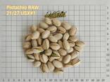 Pistacchio, USA, naturale / salato, US Extra No. 1, 21-25, ingrosso / dettaglio, tostato - фото 2