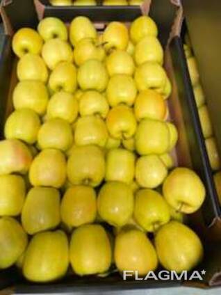 Polish apples (wide range of varieties)