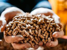 Pellets di legno ENA1 di alta qualità, certificati secondo la norma EN PLUS A1