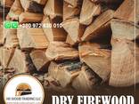 Premium quality Europe Dried Split Firewood, Kiln Dried Firewood in bags Oak fire wood - photo 2