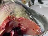Продажа Дальневосточных морепродуктов! - фото 3