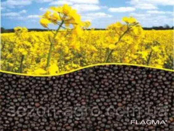 Rapeseed sales