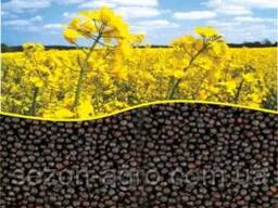 Rapeseed sales