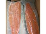 Salmon fish, Frozen Horse Mackerel, Pacific Mackerel, Tuna, Trout, Bonito, Tilapia, Squid