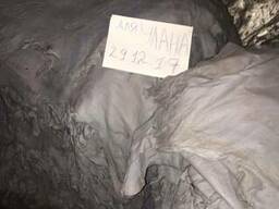 Selling for Export Vet blue sheep