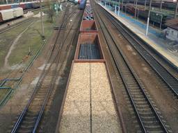 Щепа хвойная от 10000 м3