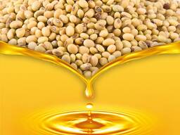 Soybean Oil