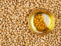 Soybean oil/Olio di soia