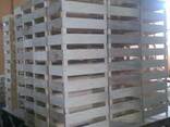 Тара для сельхозпродукции - фото 3