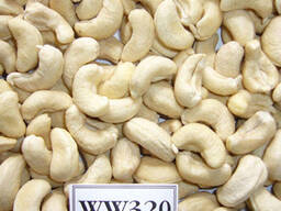 Top Cashew Nut Size W180 W240 W320 W450/ Certified WW320 Dried Cashew for Sale