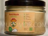 Unguento Amanita su olio di cocco 540 ml/Мухоморна мазь на кокосовій олії 540 мл