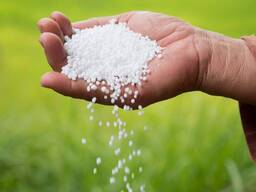 Agriculture Organic Compound Fertilizer Bulk Prilled Granular Urea 46 Nitrogen Fertilizer