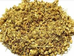 Vendita di "Sambuco" all'ingrosso dal produttore ai prezzi migliori