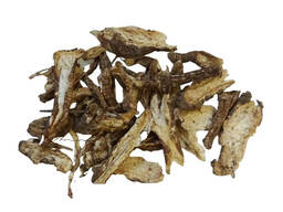 Vendita di "Sassifraga Burnet (Burnet-saxifrage Root)"