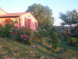 Вилла с виноградником в Тоскане - фото 8