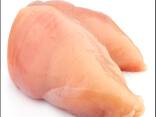 Wholesale Halal Frozen Chicken Breast / Skinless Boneless Chicken Breast Fillets - фото 2